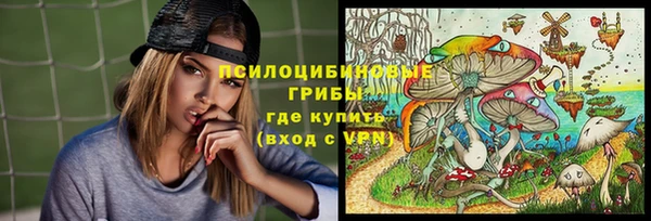PSILOCYBIN Нефтекумск