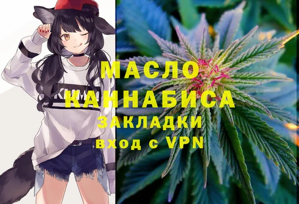 дмт Надым
