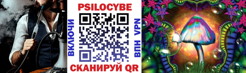 Псилоцибиновые грибы GOLDEN TEACHER  Купить где  Гусь-Хрустальный 